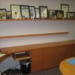 Picture Shelves